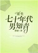 重生七十年代男知青甜醅
