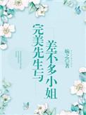 完美先生和差不多小姐完