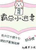 穿成霸总小逃妻介绍