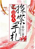 县夫人探案手札结局