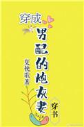 穿成男配的炮灰妻完整