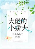 大佬的小娇夫全文免费阅读云盘
