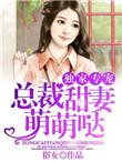 总裁的独家萌妻