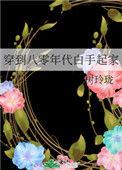 穿到八零年代白手起家gl