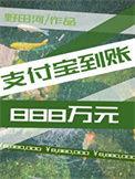 支付宝到账888万元番外