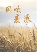 风吹麦浪李健原唱版