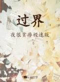 过界剧情介绍