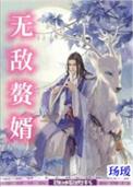 无敌赘婿娘子之外