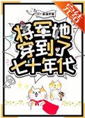将军她穿到了七十年代相似