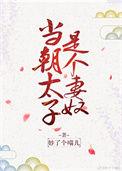 第一章当太子是不可能当太子的