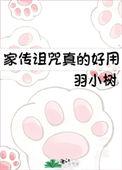 经典传奇家族诅咒之谜