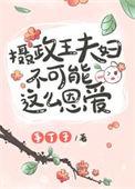 书名摄政王的1/2婚姻
