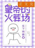 进冷宫后皇帝火葬场了txt