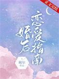 婚后恋爱指南夏深