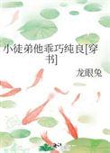 徒弟太乖了怎么办阅读