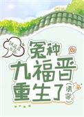 清穿 九福晋驾到作者沅冰