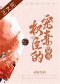 权臣的宠妻穿书免费阅读