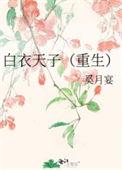 白衣天子奚月宴
