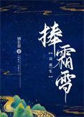 捧霜雪全文免费阅读