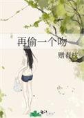 再偷必究