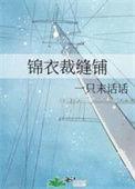 锦衣裁缝铺梦诡弥生txt百度