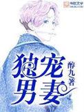 独宠男妻全集免费阅读