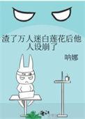 渣了哪个万人迷书包