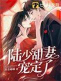 陆少宠妻有点甜免费阅读