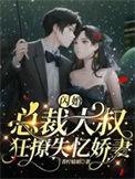 总裁大叔狂撩失忆娇妻 作者青柠姑娘