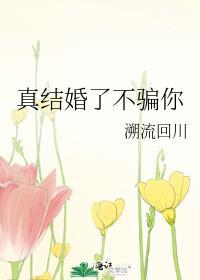 真结婚了不骗你番外