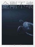 金刚不坏神功只能用五次吗