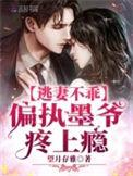逃妻不乖偏执墨爷疼上瘾