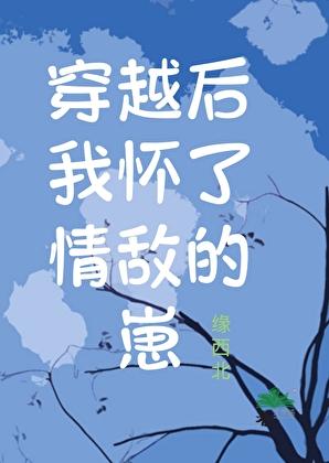 我怀了情敌的小崽子免费阅读