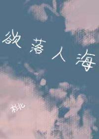 是什么歌曲