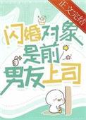 闪婚对象是前男友上司txt