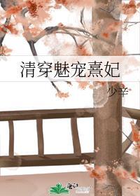 清穿之魅宠佳人