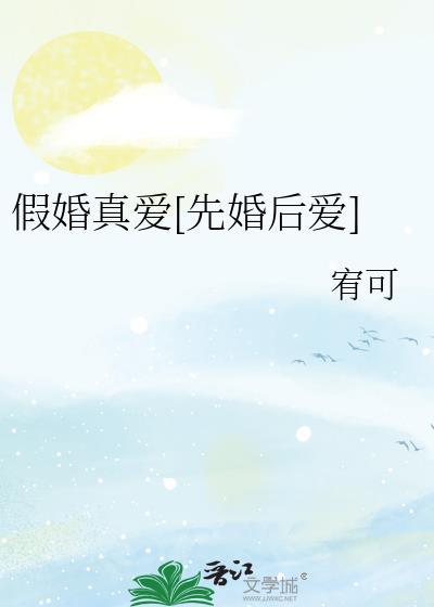 假婚真爱by