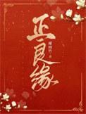 正良缘全文TXT