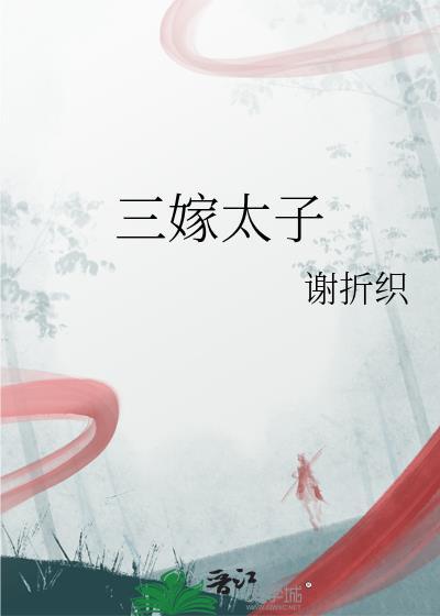 三嫁太子晋江