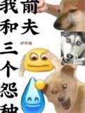 我和三个怨种前夫结局豆瓣