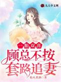 一胎二宝顾少的