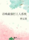 召唤最强打工人系统停云里