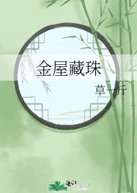 金屋藏珠笔趣阁