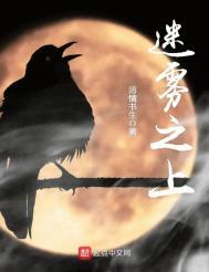 迷雾之中游戏视频