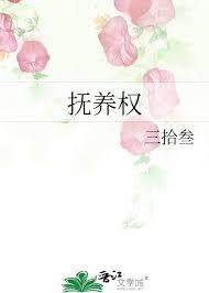 抚养权意味着什么