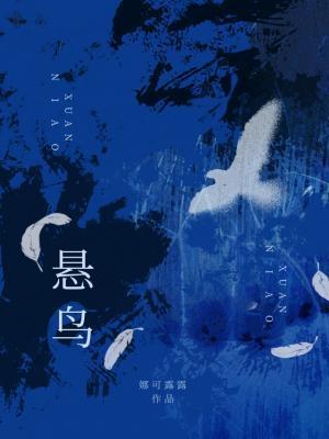 悬鸟by娜可露露讲了什么