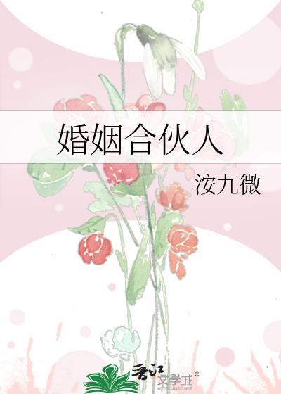婚姻合伙人短剧免费观看