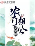 农门相公追妻忙无弹窗