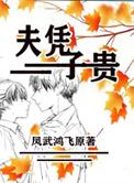 夫凭子贵by银律百度