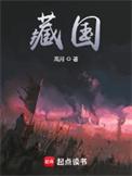 藏国笔趣阁